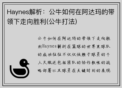 Haynes解析：公牛如何在阿达玛的带领下走向胜利(公牛打法)